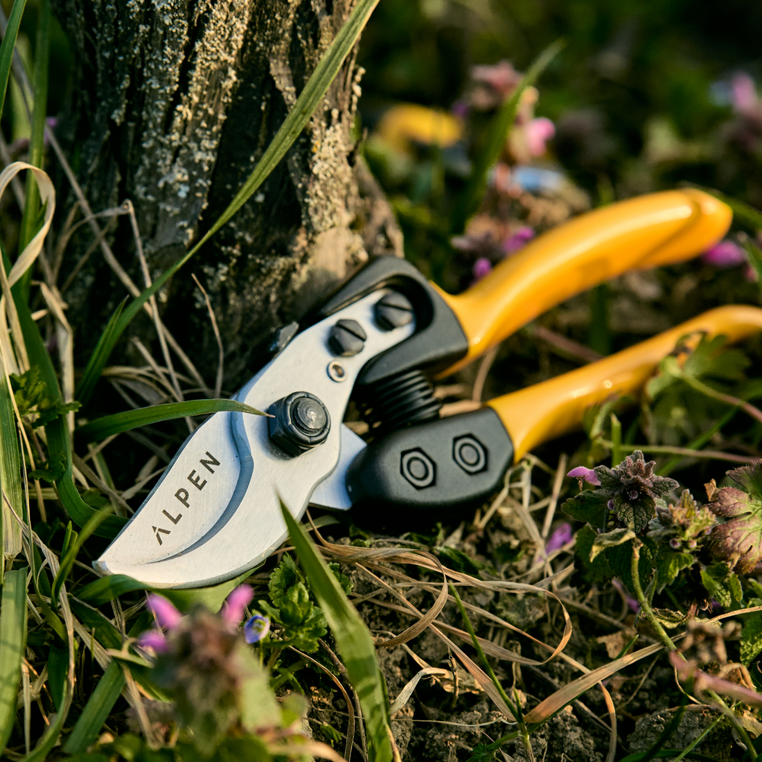 Pruning Shear Gelbhorn 150