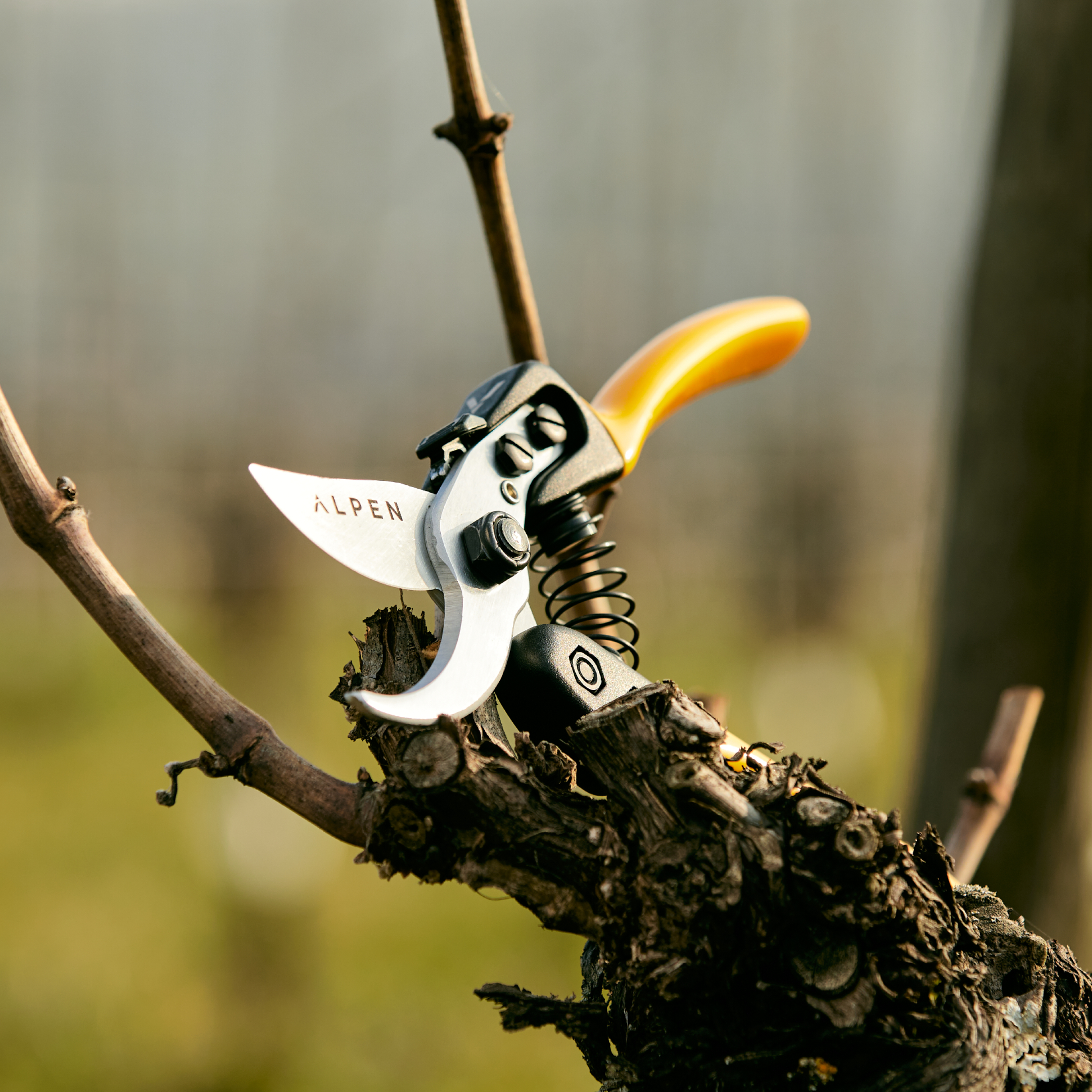 Pruning Shear Gelbhorn 150