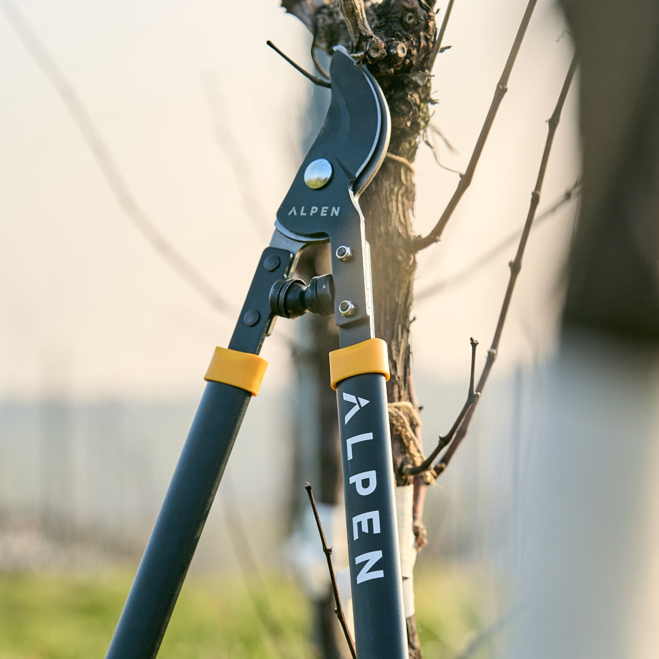 Lopper Weisshorn 260