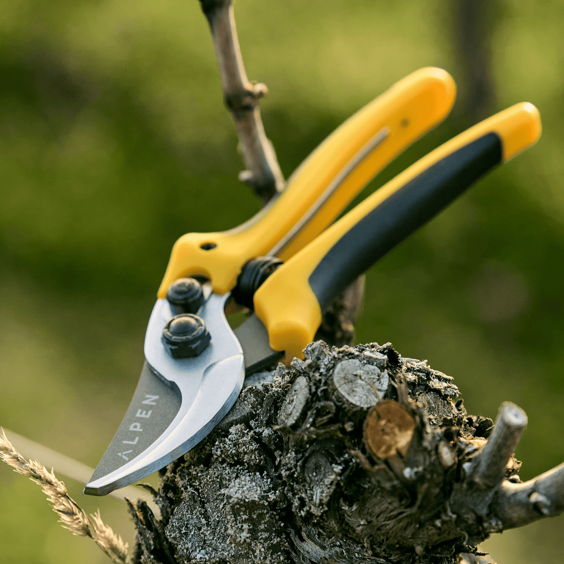 Pruning Shear Gelbhorn 140