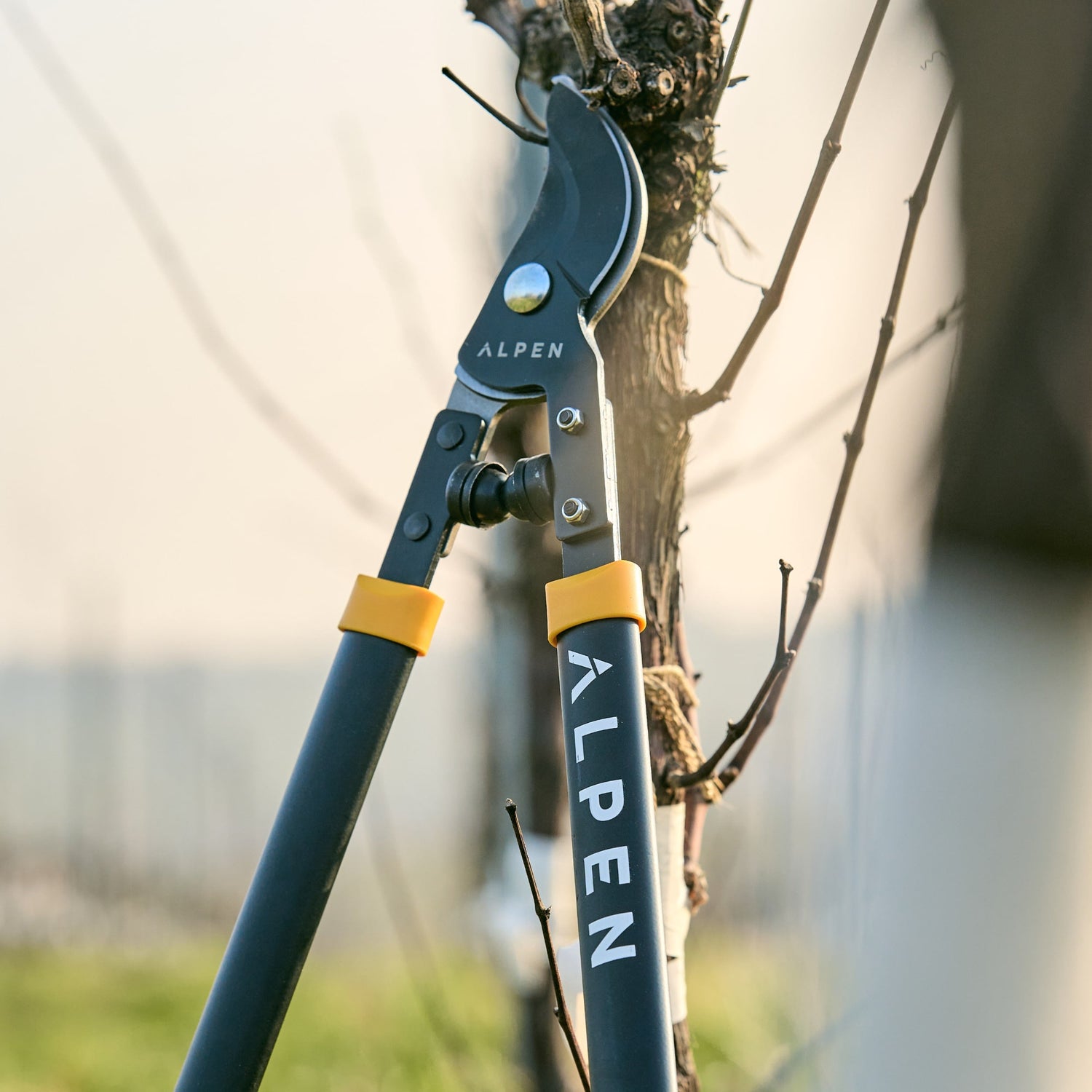 Lopper Weisshorn 260